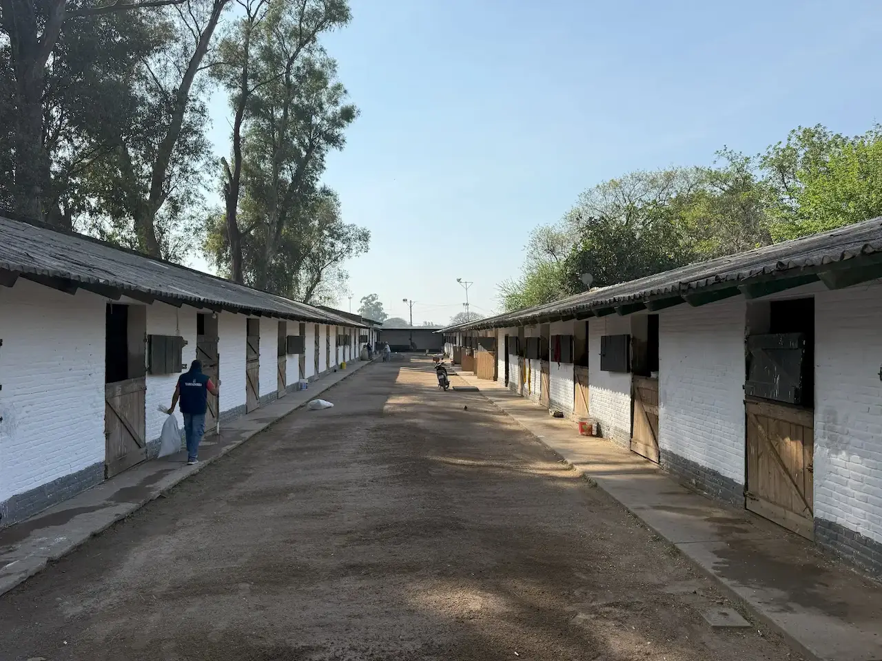 imagen del plantel equino del hipódromo