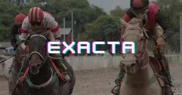 imagen exacta