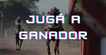 imagen apuesta a ganador