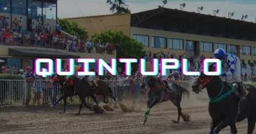 imagen quintuplo