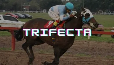 imagen trifecta