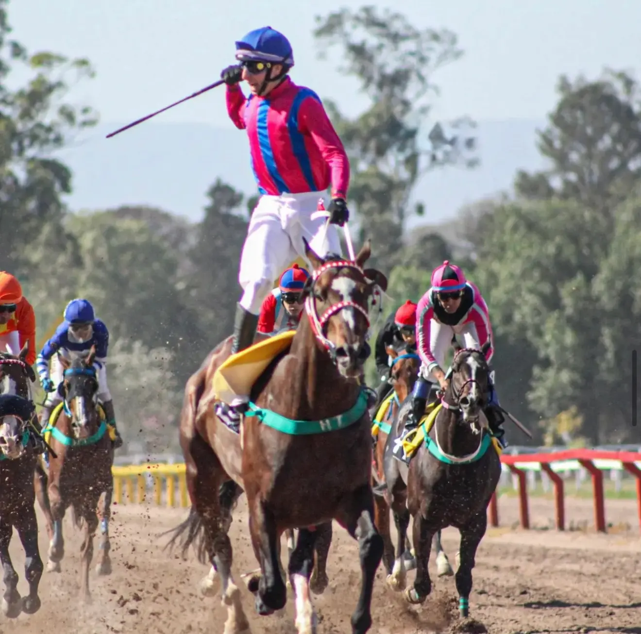 Smiling Nich brilló en el Clásico "Fundación Equina Argentina"